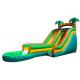 Green Palm Tree Inflatable Water Slides / Inflatable Backyard Water Slide