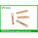 Professional Small Wooden Clothes Pegs Cloth Hanging Clips For Home HPG212
