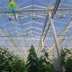 Commercial Multispan Large Venlo Glass Greenhouse Hot Galvanized Steel Frame