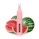 Disposable 2.0ml 400mAh 600 Puff Vape Pen 18.7x105.2mm Watermelon Flavor
