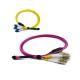 Compact Low PDL MPO MTP Cable MTP / MPO - LC Fan Out QSFP Fiber Jumper Cables