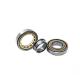 ECP Full Complement Roller Bearings N2206 NUP206E Nj206 30x62x16mm