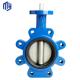 Ss304 Center Line Diaphragm Butterfly Valve With Handwheel Stainless Steel Worm Gear Lug