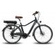 (OEM Solutions)Aluminum Alloy Electric City Bicycle 26inch 250w With Multifunction LCD Display
