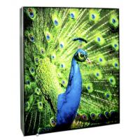 Frameless Fabric Aluminum Light Box DSA Phototech Backlit LED Lightbox
