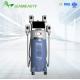 Cryolipolysys laser slimming machine Cryolipolysis Slimming Machine Easy And Painless