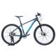 Adjustable Mountain Bike for Adults 13.9kg Bike Weight Front and Rear Disc Brake
