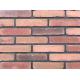 Thin brick for cladding wall brick with molded techonology