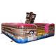 PVC Material Inflatable Bounce House / Blow Up Jump House 5×6×3m EN14960