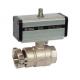 Full Bore Ball Valve with Quick Coupling for Zootechnical Use