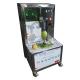 Stainless Steel High Efficiency Commercial Small Easy Operation Fruit Peeler Orange Lemon Peeling Machine For Sale