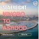 COSCO Liner Export  Ocean Cargo Logistics From Ningbo To Ashdod Israel Direct Sailing