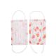 Cute Children Face Mask , Earloops Disposable Anti Dust Mouth Mask For Kid