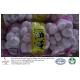 China pure white garlic export to Malaysia with 5.0-5.5 cm in 5kg mesh bag