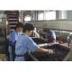 Blueberry Fruit Canning Machine , Fruit  Processing Industrial Canning Machine 