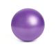 Waterproof Core Balance Exercise Ball , Multifunctional 25 Cm Yoga Ball