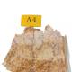 Experience the Deliciousness of Philippines Chicken Pork Floss 24 Month Shelf Life