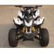 Mid Size Four Wheel ATV 110cc Fully Automatic With Reverse Front Double Drum Brake