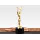 260mm Height Custom Metal Trophies , Sports Competition Custom Trophy Awards