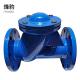 DIN3202 F6 Ductile Iron Check Valve For Sewer Line 300mm PN10 Y Strainer