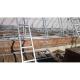 PE Film Greenhouse Agriculture Tunnel Greenhouse For Flowers Plant