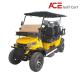 Smart Charger Carbon Steel 6 Seater Golf Cart With 48V 150AH Battery