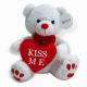 8 inch Valentines Stuffed Animals Small Plush Bear For Holiday Promotion