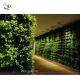 UVG GRW020 Walls Decore Plastic Plant Green Wall Manufacturers garden decking