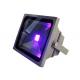 395NM Ultra Purple Outdoor LED Flood Light / 30W 50W Curing UV Flood Light