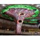High Definition P4 Flex LED Module Soft LED Screen Module with High Refresh Rate