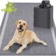 Charcoal Absorbent Pet Pee Pads for Dogs Cats Animals Disposable Training Potty Pads