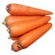 4 KG Natural Carrots Fresh Vegetables Umbelliferous Vegetabless