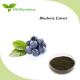 Natural Blueberry Extract Powder Supplement Anti Aging Vaccinium Spp