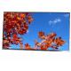 11.6'' 1920*1080 Tianma FHD SFT TFT LVDS LCD Module with touch