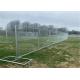 Hot Dipped Galvanized 10ft Temporary Security Fencing Diamond Stable Mesh
