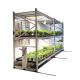 Customized Vertical Farming Seedling Bed Medical Plants Vertical Mobile Grow Racks
