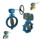 Keystone F990 Series Butterfly Valve Pneumatic Actuator And Asco Solenoid Valve For Power Plant