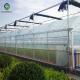 Hydroponic Agriculture Commercial Glass Greenhouse With Shading System