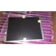 15.6 Inch 1366*768 TFT LCD Panel NL13676AC25-01D With LED Driver