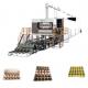 Moulded Apple Fruit Tray Making Machine Full Automatic Production Line
