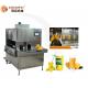 Food Grade SS304 Dried Mango Processing Machine Processing Line 380V / 220V