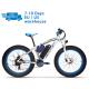 US EU STOCK 1000W High Power Electric Bike Fat Tire All Terrain 21 Speed 17Ah 26 Inch RICH BIT 012
