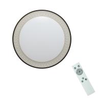 1700lm IP20 110V Dimmable LED Ceiling Lamp 6500K Plastic Warm White
