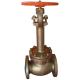 BS 1873 Cryogenic Globe Valve 150LB - 600LB With Extended Bonnet