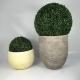 Garden decoration light weight round planter pots for home decorations