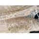 Champagne Gorgeous Flowers Sequin Lace Fabric With Dot Scalloped For Party Gown