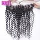 13x4 Human Hair Lace Frontal Closure HD Transparent Swiss Curly Deep Curly Pre Plucked