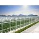 Daman Venlo Glass Greenhouse Mass Planting Of Tomatoes Hot Dip Galvanized