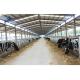 Modern Goat Shed Prefabricated Steel Structure Cowshed Farm with Welding Service