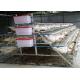 Breeding 500-1000 Birds Layer Chicken Cages Suitable For Individuals